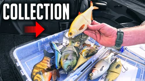 His SWIMBAIT Collection 🤯 (Mind Blown!!!)