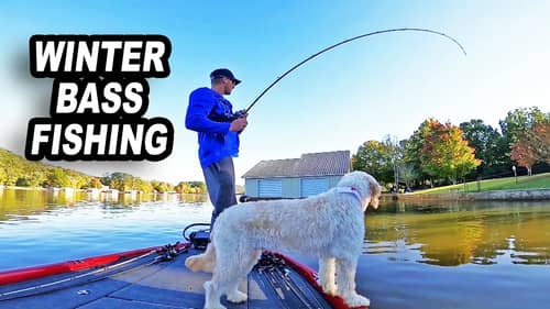 WINTER BASS FISHING with the ALABAMA RIG! (BEST COLD WATER LURE?)