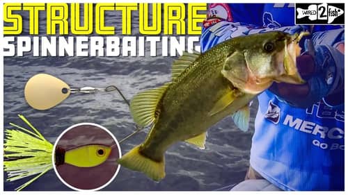The Most Versatile Structure Spinnerbait?