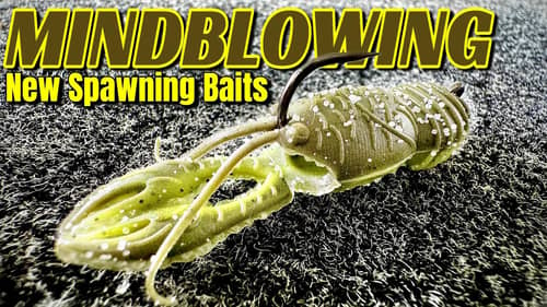 Mind Blowing NEW Spawning Baits