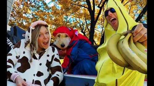 Spider-Dog, Cow, and Banana TRICK-OR-TREAT For BASS! Happy Halloween!