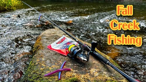 October Wading for Smallmouth Bass