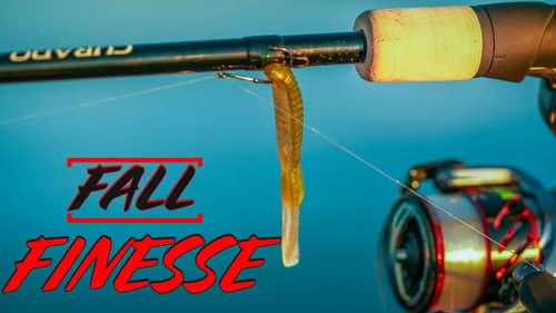 5 Finesse Fishing Tricks For Early Fall Bass