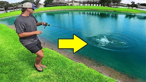 Lost The BIGGEST Fish Of MY LIFE! (Florida Pond Fishing)