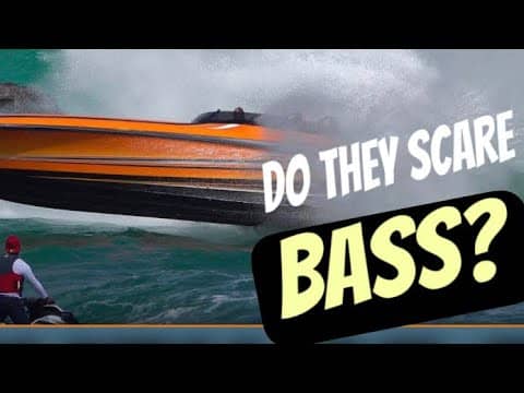 THIS Is How Recreational Boating Traffic Affects Bass Behavior