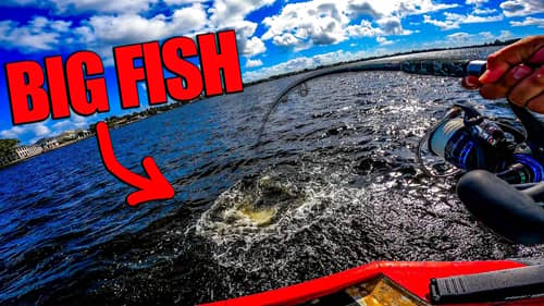 Inshore Popping and Dock Fishing for BIG Fish