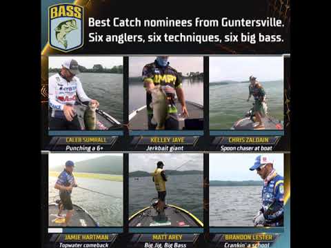 Six Anglers, Six Techniques, Six Big Bass from Lake Guntersville