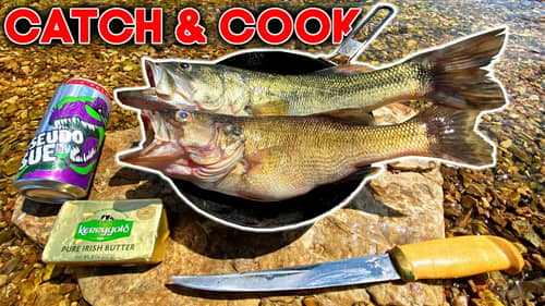 Creekside Bass CATCH & COOK Over a Fire!! (DELICIOUS)