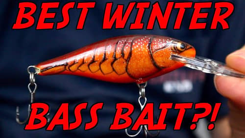 The MOST OVERLOOKED Bait for Winter Bass Fishing!