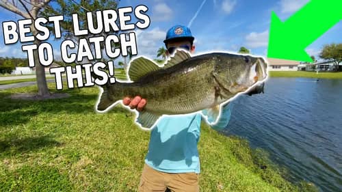 Best Spawn Bass Fishing Lures (Spring Bass Fishing Tips)