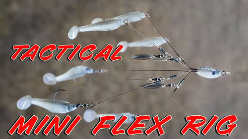 Tactical Bassin’s Latest Lure Design! The Tactical MINI Flex Rig! (How To Fish and Rig)