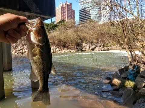 URBAN BASS FISHING  || Grinding out Yet another day of BANK FISHING ||