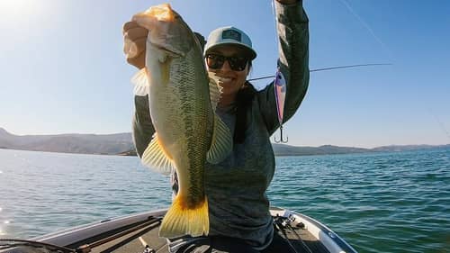 We caught them deep! Swimbait and Spoon Tips For Fall Bass