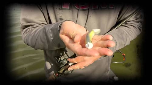 Swimbaits for Smallmouths in Current