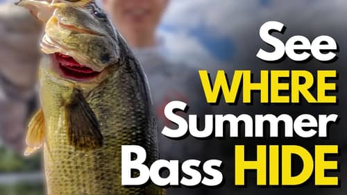 Underwater Footage of WHERE Summer Bass Hide