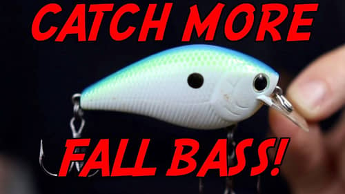 What I WISH Someone Would've TOLD ME About Fall Bass Fishing!