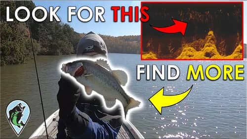 Fish Finder Trick to Find Bass Fast in the Winter | 3 Hour Challenge