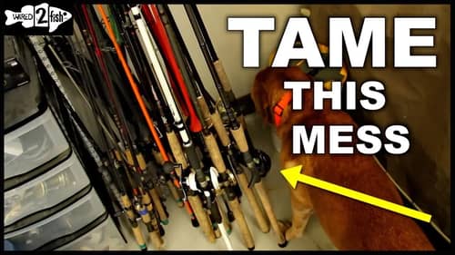 How to Efficiently Store, Organize and Protect Your Fishing Rods