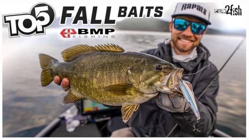 Top 5 Fall Bass Fishing Lures | Palaniuk's Favorites