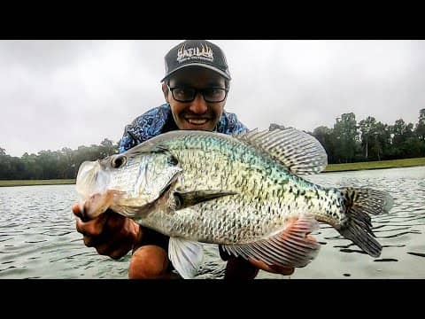 MONSTER CRAPPIE ON (almost) EVERY CAST!