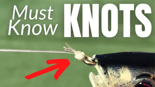DON'T Go FISHING until You know THESE 5 KNOTS (Complete Knot Tutorial)