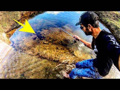 CLEAR WATER DITCH is FULL OF FISH!! (STRANGE CREATURE)