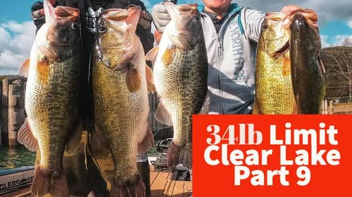 Swimbaits Glide Baits Big Baits for Big Bass 34lb Limit!!! - Big Bass Dreams Clear Lake Part 9