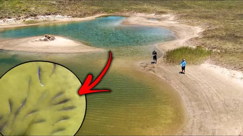 saving fish from saltwater puddle ponds!  (too late now) Part 2