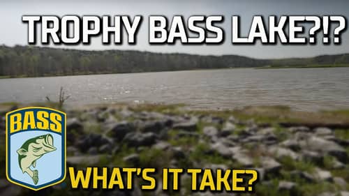 Bassmaster's Lake Y Project: What does it take to grow a TROPHY fishing lake? (Ep. 1)