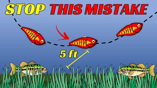 STOP Fishing Lipless CRANKBAITS Like This