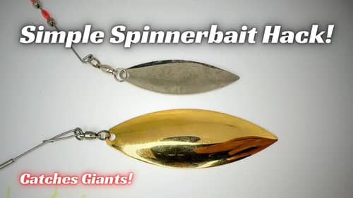 This Spinnerbait Hack Is So Simple AND Catches Giant Bass!