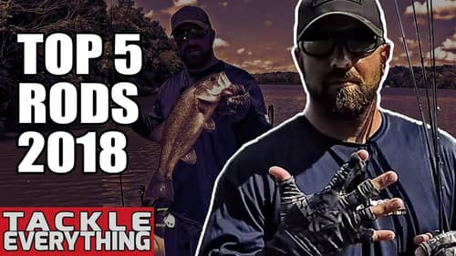 Top 5 Best Rods For Bass Fishing