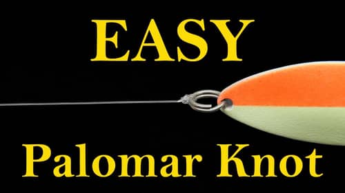 How to tie the Palomar knot (dropshot knot)