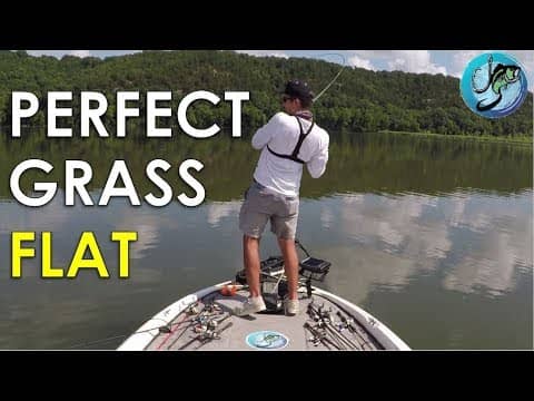 How to Find Summer Bass on Grass Flats