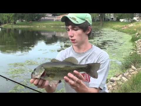 Bass in the Slop -- BIG Illinois Bass