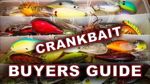 Which Deep Crankbaits Actually Catch Fish?? | Crankbait Buyer's Guide