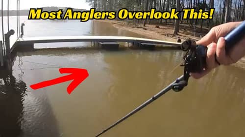 Most Anglers Don’t Pay Attention To This Detail When Bass Fishing And It’s Costing Them Bites!