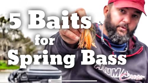 The 5 Best Baits for Prespawn Bass Fishing around Docks