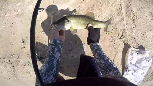 Bass on a River2Sea Swaver