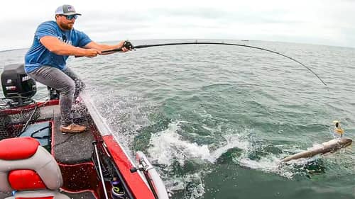 Big Fish CRUSHES BAIT Right At The Boat || Musky Fishing Lake Saint Clair