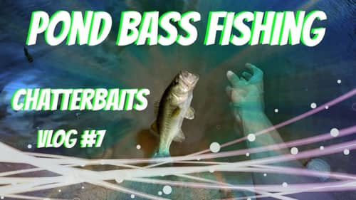 Pond Bass Fishing ~ Chatterbaits Vlog #7