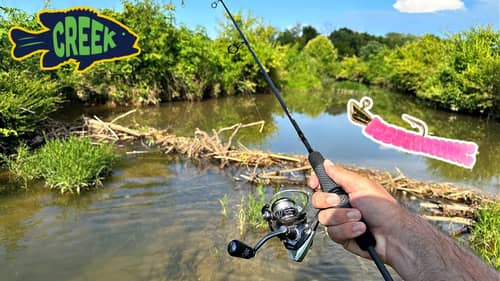 Little Lure Catches EVERYTHING in Tiny Creek
