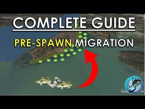 Easy Guide to Pre-Spawn Bass Fishing | Best Spring Fishing Areas