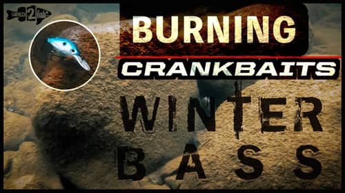Winter Crankbait Tips: Downsize and Burn for More Bites