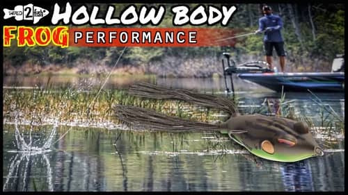 5 Reasons Hollow Body Frogs Excel for Bass