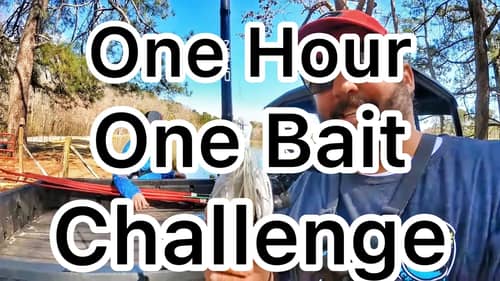 One Bait / One Hour Bank Fishing Challenge