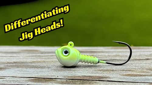 Can You Tell The Difference In Jig Heads? Most Anglers Can’t!