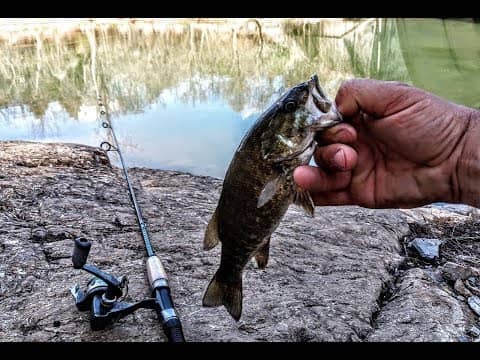 Catching SMALL MOUTH BASS using ULTRALIGHT TACKLE in a CREEK