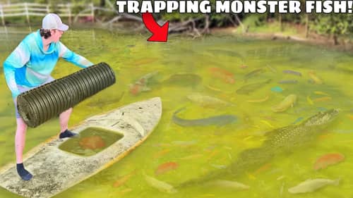 Trapping MONSTER Aquarium Fish in ABANDONED POND!