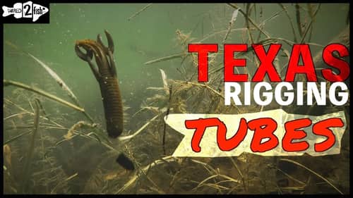 Texas Rigging Tube Baits for Summer Bass